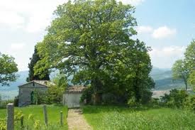 We offer the following property sales services; Sales promotion of properties on behalf of vendors, Sale and Purchase services covering the entire legal process, Sales of our own property developments, Property search on behalf of clients looking to buy.